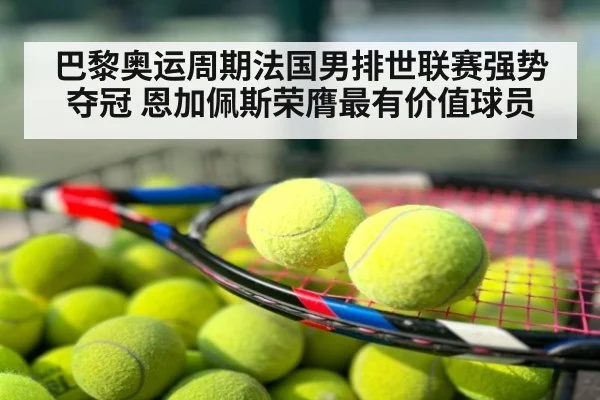 巴黎奥运周期法国男排世联赛强势夺冠 恩加佩斯荣膺最有价值球员