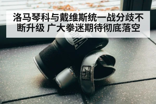 洛马琴科与戴维斯统一战分歧不断升级 广大拳迷期待彻底落空